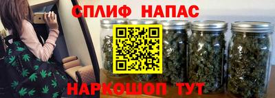 стаф Балахна